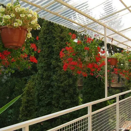 Naszaly Kapuja Vendeghaz Apartment Kosd